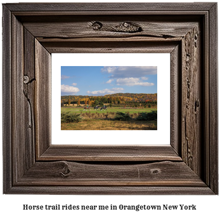 horse trail rides near me in Orangetown, New York